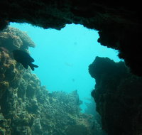 Half-Day Abrolhos Islands Shipwreck Air and Land Tour from Geraldton - Kingaroy Accommodation