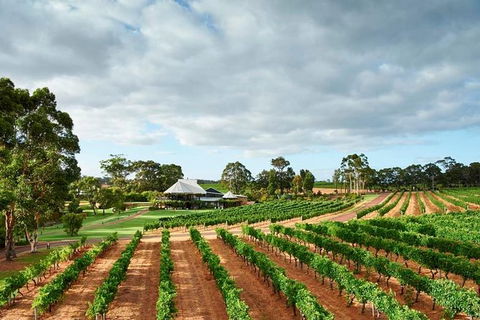 Vasse Felix Winery Tour And Tasting - Kingaroy Accommodation 2