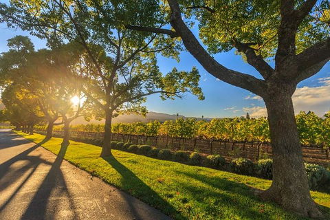 VIP Swan Valley Wine Tour - Premium Small Group Wine & Gourmet Experience - Kingaroy Accommodation 1
