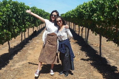 VIP Swan Valley Wine Tour - Premium Small Group Wine & Gourmet Experience - Kingaroy Accommodation 3