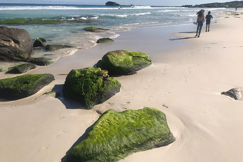 Cape To Cape Track Hike And Winery Tour - Kingaroy Accommodation 7