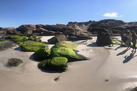 Cape To Cape Track Hike And Winery Tour - Kingaroy Accommodation 11