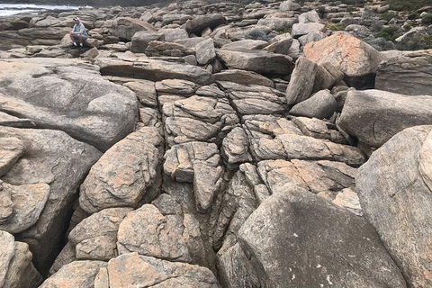 Cape To Cape Track Hike And Winery Tour - Kingaroy Accommodation 8