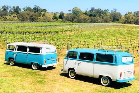 VW Kombi Wine Tour In The Swan Valley - Kingaroy Accommodation 6