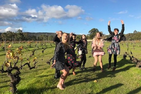 VW Kombi Food, Wine And More Tour (bring The Kids!) - Kingaroy Accommodation 3