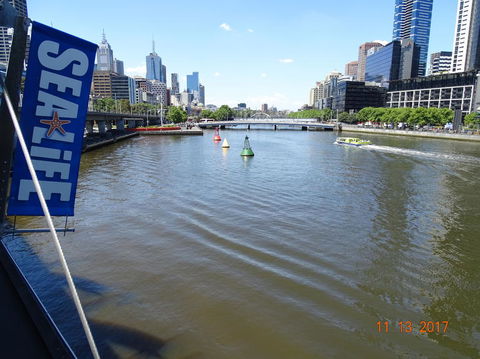 SEA LIFE Melbourne Aquarium Admission Ticket - Kingaroy Accommodation 7