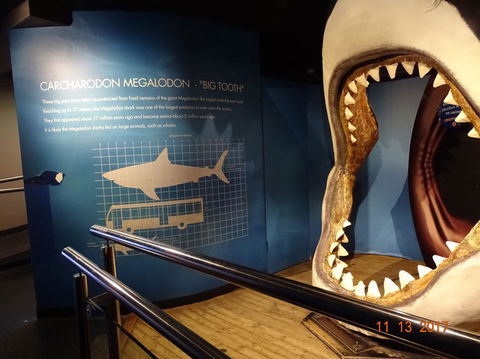 SEA LIFE Melbourne Aquarium Admission Ticket - Kingaroy Accommodation 10