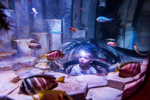 SEA LIFE Melbourne Aquarium Admission Ticket - Kingaroy Accommodation 0