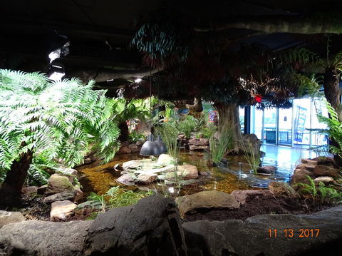 SEA LIFE Melbourne Aquarium Admission Ticket - Kingaroy Accommodation 2