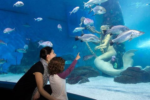 SEA LIFE Melbourne Aquarium Admission Ticket - Kingaroy Accommodation 14