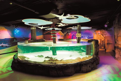 SEA LIFE Melbourne Aquarium Admission Ticket - Kingaroy Accommodation 27
