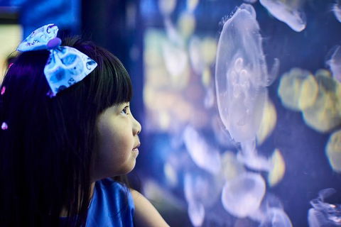 SEA LIFE Melbourne Aquarium Admission Ticket - Kingaroy Accommodation 17