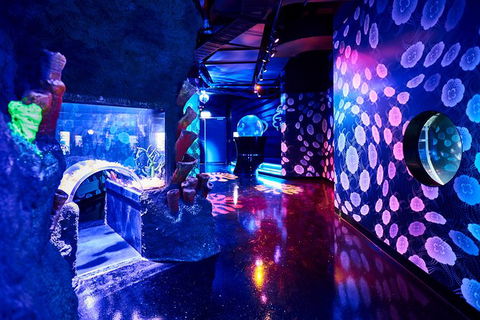 SEA LIFE Melbourne Aquarium Admission Ticket - Kingaroy Accommodation 13