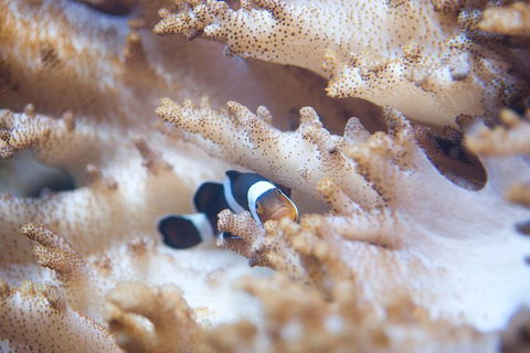 SEA LIFE Melbourne Aquarium Admission Ticket - Kingaroy Accommodation 16