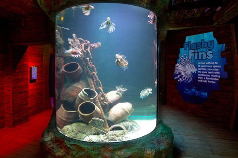 SEA LIFE Melbourne Aquarium Admission Ticket - Kingaroy Accommodation 23