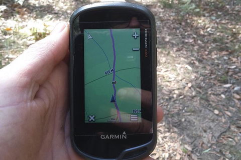 GPS Guided Walks In The Daylesford Forest - Kingaroy Accommodation 0