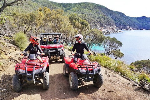 Quad Bike 2-Hour Adventure: Freycinet National Park - Kingaroy Accommodation 2