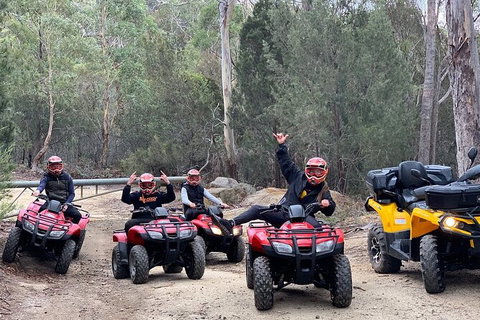 Quad Bike 2-Hour Adventure: Freycinet National Park - Kingaroy Accommodation 4