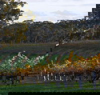 Barossa Valley with Hahndorf Tour from Adelaide - Kingaroy Accommodation