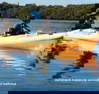 Adelaide Dolphin Sanctuary and Ships Graveyard Kayak Tour - Kingaroy Accommodation