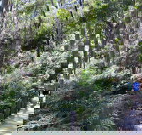 Self-Guided Waterfall Gully to Mount Lofty Hike from Adelaide - Kingaroy Accommodation