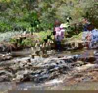 Small Group Bush Walk  BBQ with Wine Day Trip from Adelaide - Kingaroy Accommodation