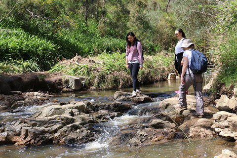 Small Group Bush Walk & BBQ With Wine Day Trip From Adelaide - Kingaroy Accommodation 0