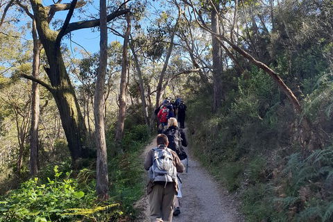 Mount Lofty Hike And Cleland Wildlife Park Day Trip From Adelaide - Kingaroy Accommodation 0