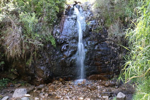 Mount Lofty Hike And Cleland Wildlife Park Day Trip From Adelaide - Kingaroy Accommodation 7