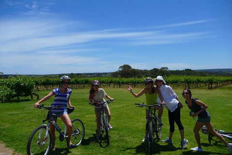 McLaren Vale Wine Tour By Bike - Kingaroy Accommodation 1