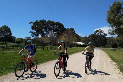 McLaren Vale Wine Tour By Bike - Kingaroy Accommodation 8