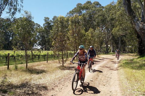 McLaren Vale Wine Tour By Bike - Kingaroy Accommodation 11