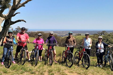 McLaren Vale Wine Tour By Bike - Kingaroy Accommodation 6