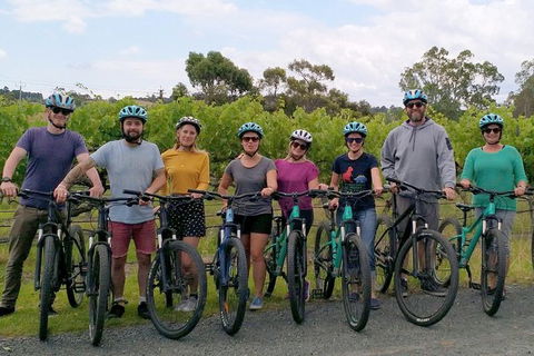 McLaren Vale Wine Tour By Bike - Kingaroy Accommodation 10