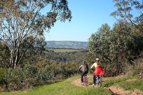 McLaren Vale Wine Tour By Bike - Kingaroy Accommodation 13