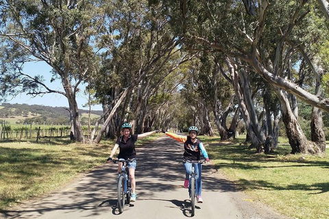 McLaren Vale Wine Tour By Bike - Kingaroy Accommodation 14