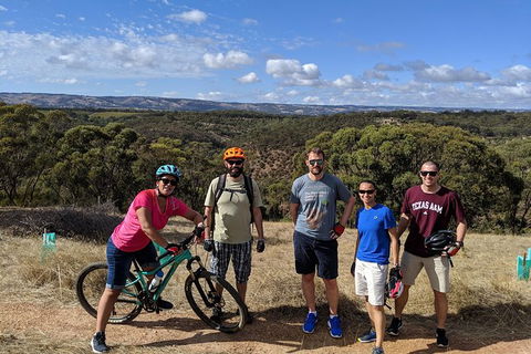 McLaren Vale Wine Tour By Bike - Kingaroy Accommodation 3