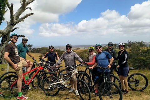McLaren Vale Wine Tour By Bike - Kingaroy Accommodation 7