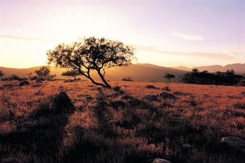 Adelaide To Coober Pedy 7 DAY SMALL GROUP 4WD SAFARI - Kingaroy Accommodation 0