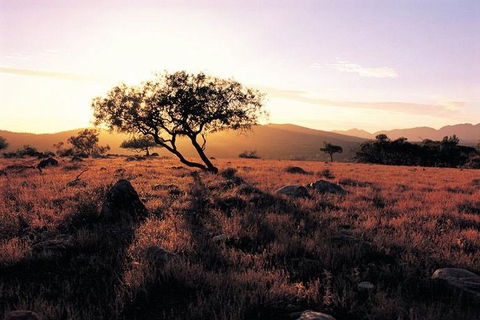 Adelaide To Coober Pedy 7 DAY SMALL GROUP 4WD SAFARI - Kingaroy Accommodation 4
