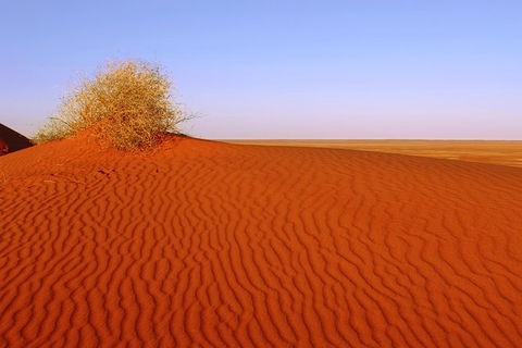 Adelaide To Coober Pedy 7 DAY SMALL GROUP 4WD SAFARI - Kingaroy Accommodation 3