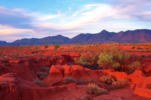 Adelaide To Coober Pedy 7 DAY SMALL GROUP 4WD SAFARI - Kingaroy Accommodation 7
