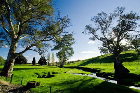 Adelaide Highlights And Hahndorf Tour With Optional River Cruise - Kingaroy Accommodation 0