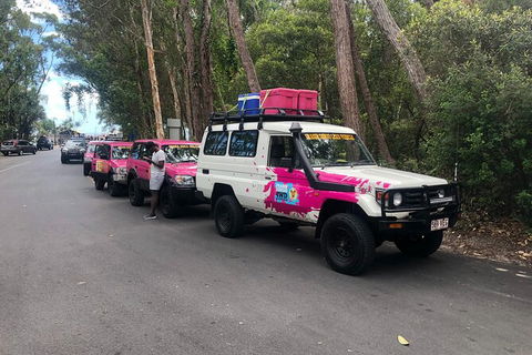 2-Day Fraser Island 4WD Tag-Along Tour At Beach House From Hervey Bay - Kingaroy Accommodation 6