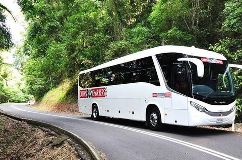 Palm Cove Departure Transfer - Palm Cove To Airport - Kingaroy Accommodation 1