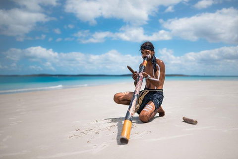 Great Sandy Marine Park Turtle Discovery And Cultural Eco Tour - Kingaroy Accommodation 1