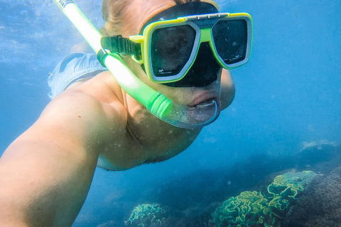 Great Sandy Marine Park Turtle Discovery And Cultural Eco Tour - Kingaroy Accommodation 2