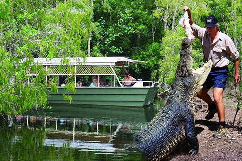 Crocs, Creatures And Culture Tour Ex Cairns - Kingaroy Accommodation 1