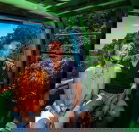 Skyrail Rainforest Cableway Day Trip from Palm Cove - Kingaroy Accommodation