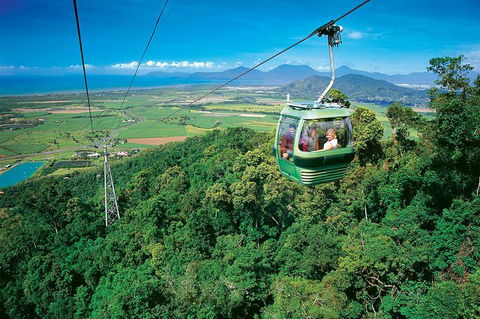 Skyrail Rainforest Cableway Day Trip From Palm Cove - Kingaroy Accommodation 3